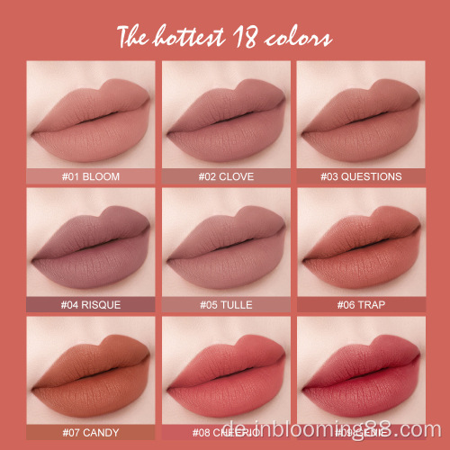 Langlebige 18 Farben nackt mattes Lipgloss